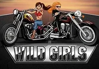 Wild Girls game cover